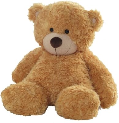 cost of dog boarding near me