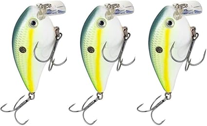 chartreuse bait