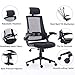 High Back Mesh Office Chair - Ergonomic Design of Computer Desk Chair with Lumbar and Neck Support Color Black