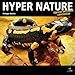Hyper Nature by