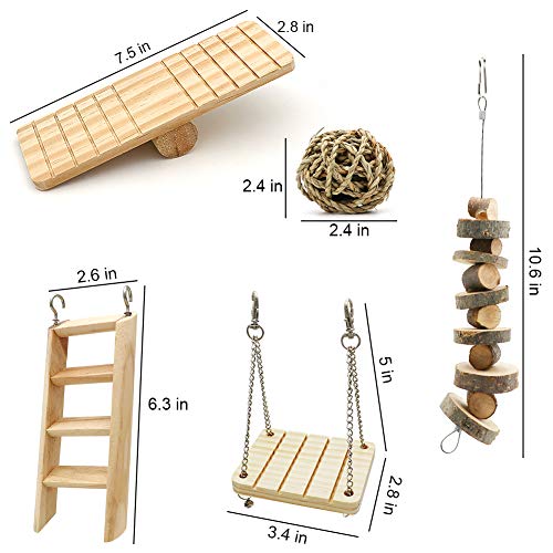 1 ZALALOVA+Chinchillas+Accessories+Dumbells+Exercise