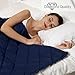 Hypnoser Weighted Blanket 2.0 for Kids,Adults,Men, Women,Heavy Blanket Providing Calm and Comforting Sleep,Sleep Faster (60