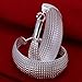 Elegant Fashion Jewelry 925 Silver Plated Stud Dangle Earings Eardrop Big Oval With Net Surface