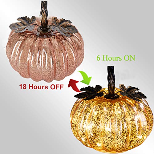 denlix Mercury Glass Pumpkin Lights Fall Decor, Battery Operated LED Timer 5.5 Inches Decorative Pumpkins, Fall Centerpieces for Tables Decorations