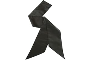 Historical Emporium Men's Satin Regal Cravat