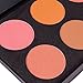SHANY Cosmetics Fuchsia 6 Color Blush Palette, 8 Ounce