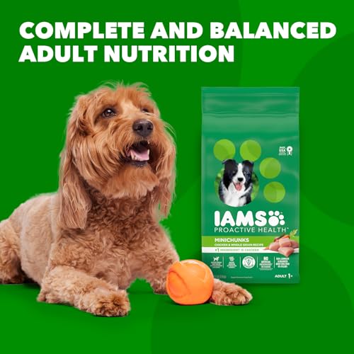 IAMS Proactive Health Minichunks Adult Dry Dog Food With Real Chicken
