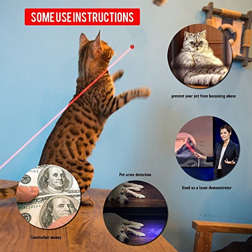 Modiok Cat Laser Pointer, 2 in 1 Interactive Pet Catch Led Chaser Toys with Red Laser and Flashlight, Great for Pet Cats Dogs Training and Exercise -2 Pack