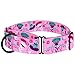 CollarDirect Martingale Collars for Dogs Heavy Duty Floral Pattern Female Safety Nylon Training Wide Collar Flower Design Large Medium (L, Neck Size 15