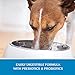 Wellness Simple Limited Ingredient Dry Dog Food for Sensitive Stomachs, Supports Skin & Coat, Grain Free, Natural, Healthy Weight Salmon & Peas Recipe, (24-Pound Bag)