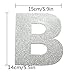 LINGTEER I'm 20 Funny Birthday Silver Glitter Bunting Banner,Cheers to 20 Years Old Twenty Birthday Party Decorations Gift Backdrop Sign.