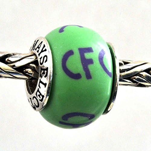 CFC Cardiofaciocutaneous Syndrome Awareness Bead Charm for Add-A-Bead Bracelets Clay & Sterling Silver by MAYselect