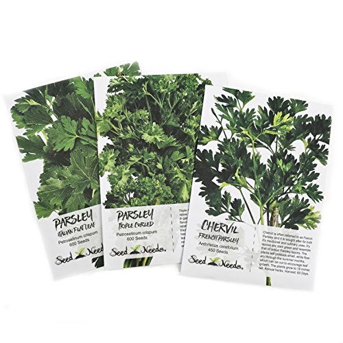 Parsley Seed Trio, (3 Individual Seed Packets) NonGMO Seeds by Seed Needs