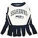 Seattle Seahawks NFL Cheerleader Dress For Dogs - Size Medium