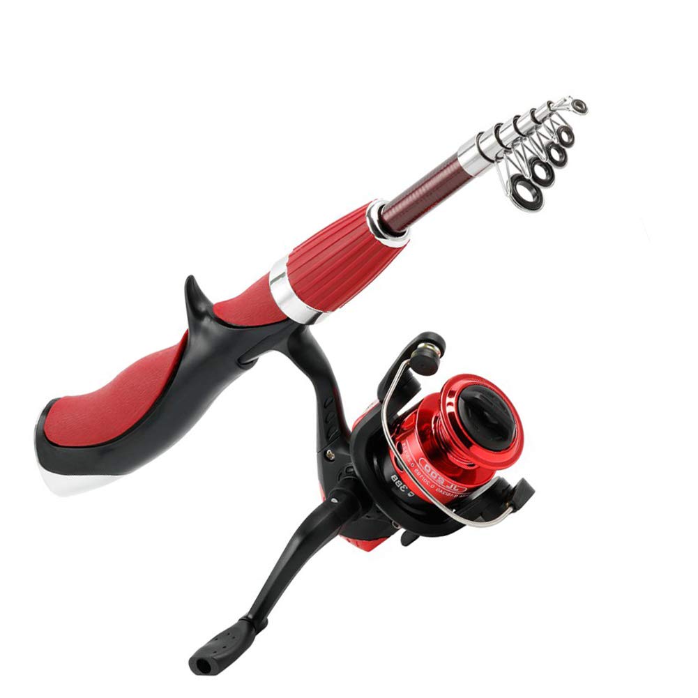 BESTEU Portable Mini Telescopic Fishing Rod and Reel Set Fishing Rod with Spinning Reels Fishing Tackle Set