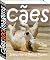 Livro cães (100 immagens)