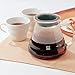 Hario V60 