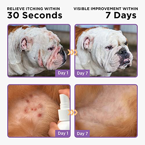 HICC GROOM! HOT SPOT TREATMENT AND ITCH RELIEF SPRAY FOR DOGS & CATS, RAPIDLY ALLEVIATE DRY ITCHY SKIN, SKIN ALLERGIES, SCRATCHING, EXCESSIVE LICKING, WOUND WASH SPRAY, 3.4 FL OZ