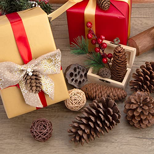 JOHOUSE 50PCS Natural Pinecones, Pinecone Ornaments Decorative Pinecones Assortment for Fall Winter Christmas Bowl Fillers