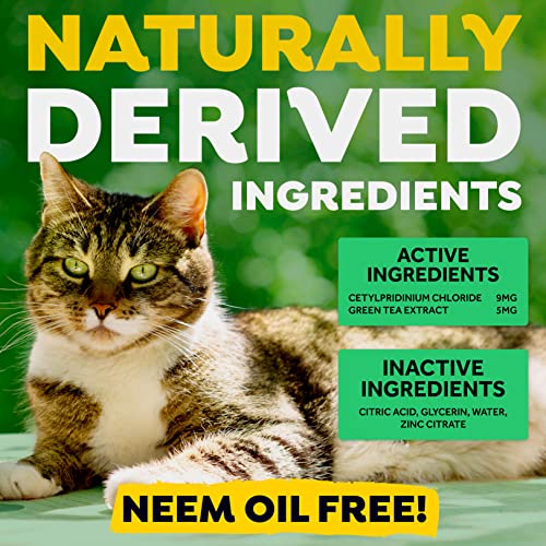 TropiClean Fresh Breath Cat Dental Water Additive Drops A Cat Breath