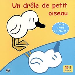 Un  drôle de petit oiseau