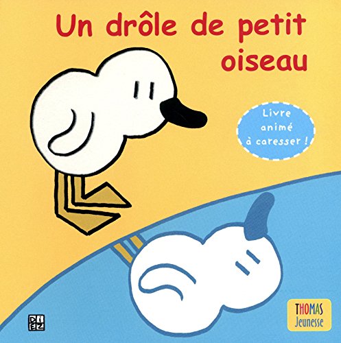 Un  drôle de petit oiseau