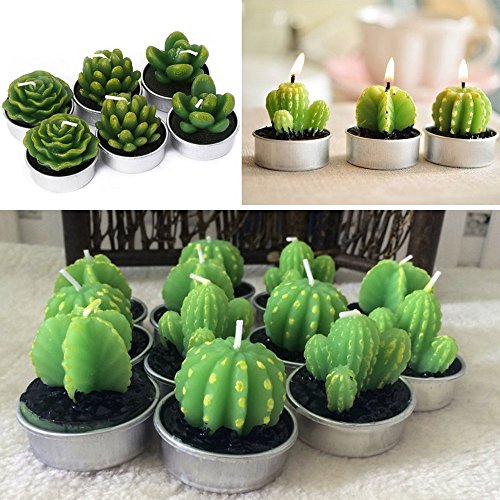 Cactus Tealight Candles, niceEshop(TM) 6pcs Creative Birthday Scented Candles Handmade Delicate Succulents Candles for Birthday/Party/Spa/Wedding/Home Decoration/Confession
