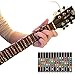 Guitar Trainer | Color Coded Fretboard Fret Map Note Stickers for Beginner / Learning (guitar stickers) (1)