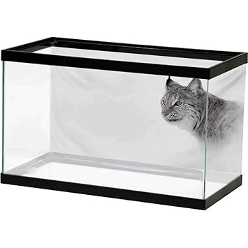 Amazon Com Bybyhome Ocean Aquarium Background Hunting Lynx In