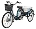 Yukon Trail Bicycles E-Trike Electric Bicycle, Black, 26-Inch