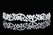 Bridal Flower Rhinestones Crystal Wedding Headband Tiara (Clear Crystals Silver Plated)
