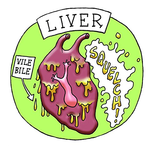 Galt Toys Horrible Science Beastly Body Bits Puzzle Buy