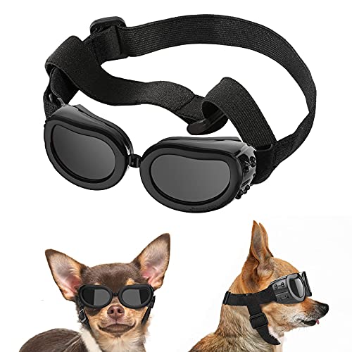 The Best Dog Goggles Dogtime