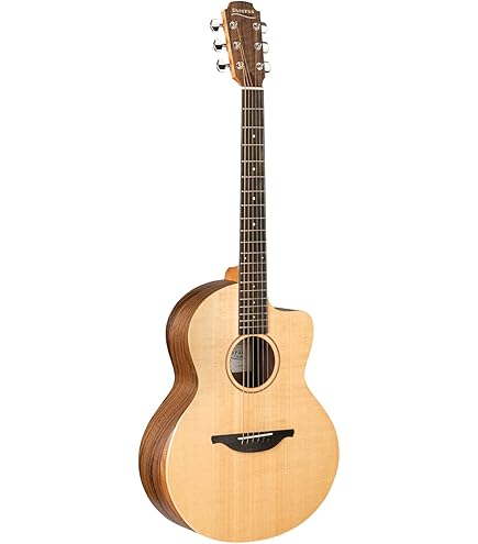 Sheeran By Lowden W04 Acoustic Guitar With Padded Gig Bag