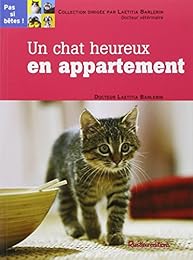 Un  chat heureux en appartement