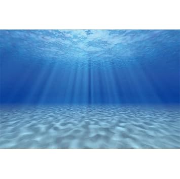Amazon Com Laeacco Undersea Backdrop 7x5ft Underwater Vinyl