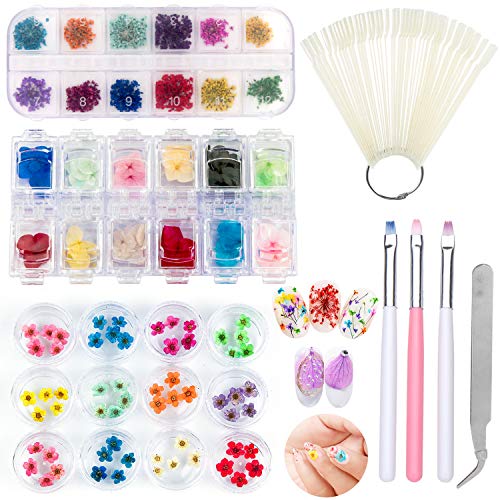 Sealive 3D Nail Art Accessories Kits 12 Colors Natural Real Dried Flowers Nail Art 3 Set, with 50 Pcs Fan-shaped PVC False Nail Art Tips Practice Display, Nail Brush and Nail Stickers Decal Tweezer - Thumbnail 7