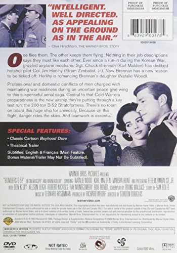 Bombers B-52 - //coolthings.us