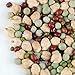 Protein Powerhouse Sprouting Seed Mix: 8 Oz - Organic, Non-GMO - Sprouting Sprouts, Food Storage. High Protien Sprouts - Pea, Mung, Green Pea, Adzuki