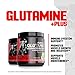 Betancourt Nutrition Glutamine Plus Dietary Supplement, Green Apple, 240 Gram