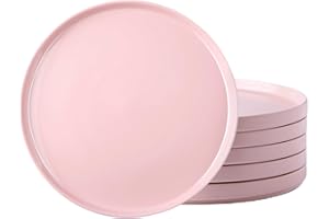 AmorArc Ceramic Dinner Plates Set of 6,10.0 Inch Matte Stoneware Plates for Kitchen,Modern Flat Dinnerware Dishes Set,Microwa