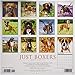 Just Boxers 2019 Wall Calendar (Dog Breed Calendar)