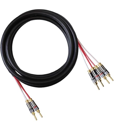 Amazon.com: WORLDS BEST CABLES 8 Foot Ultimate - 9 AWG