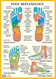 Image de Foot Reflexology -- A2