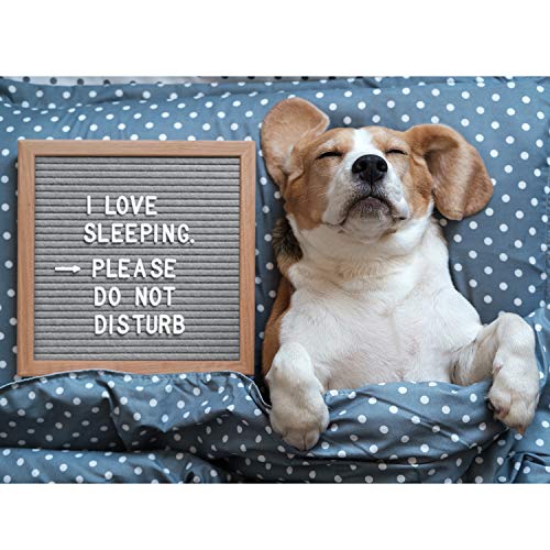 1 Board2by+Changeable+Message+Tabletop+Wrapping