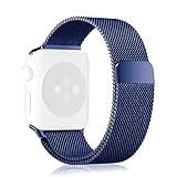 Apple Watch Band, [Unique Magnet Lock] Fintie 42mm Milanese Loop Stainless Steel Bracelet Smart Watch Strap for Apple Watch Series 1 Series 2 42mm All Models, No Buckle Needed - BLUE