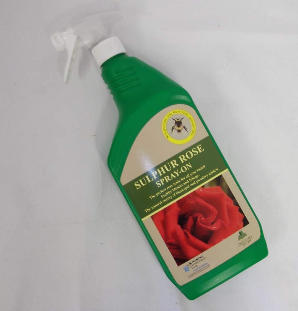 Sulphur Rose RTU 1 litre Amazon.co.uk Garden & Outdoors
