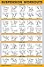 QuickFit Suspension Workout Exercise Poster - Double Sided (Laminated, 18