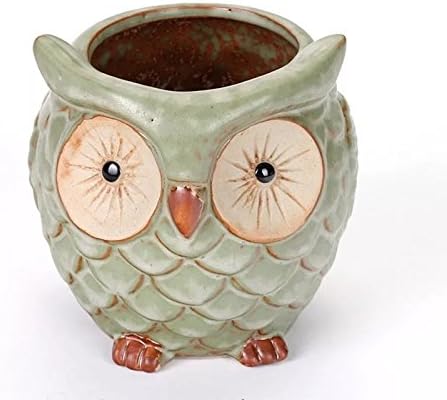 SweetLifeIdea Ceramic Garden Decor Planter Owl Flower Pot Cactus Succulent Plants Pot (Medium)