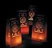 Fun Express Fiesta Luminary Bags-3 Dozen Bags, Day of The Dead, Cinco Party Supplies